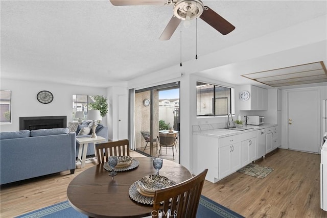 dining room with sink, light hardwood / wood-style flooring, and a textured ceiling