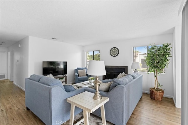 living room with hardwood / wood-style floors