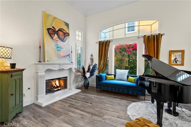 sitting room featuring hardwood / wood-style flooring and a towering ceiling