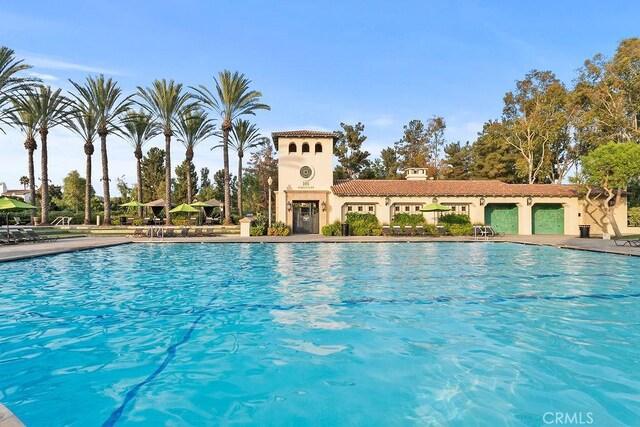 view of community pool