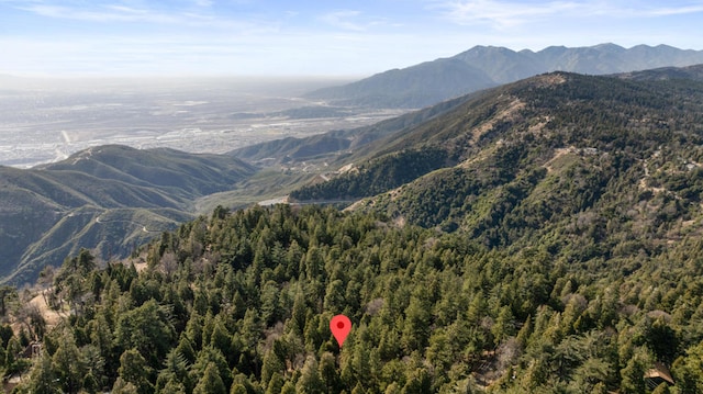 view of mountain feature