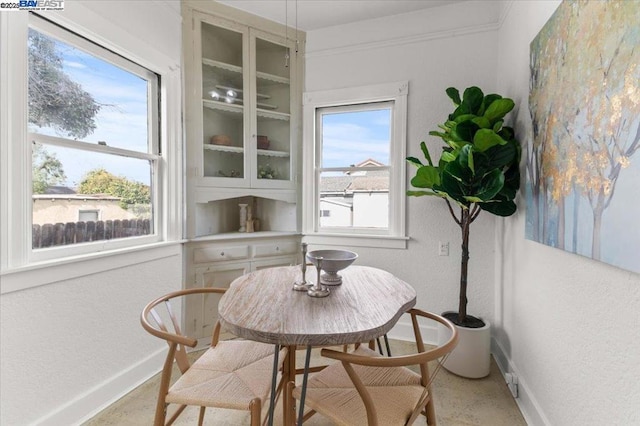 dining room featuring plenty of natural light