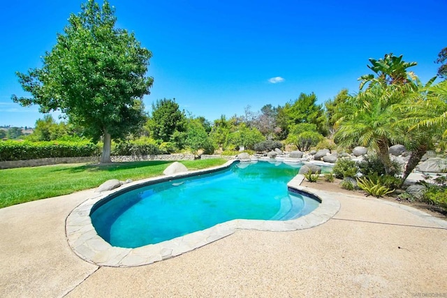 view of pool featuring a lawn