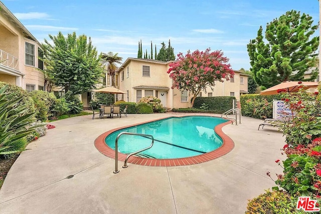 view of pool with a patio