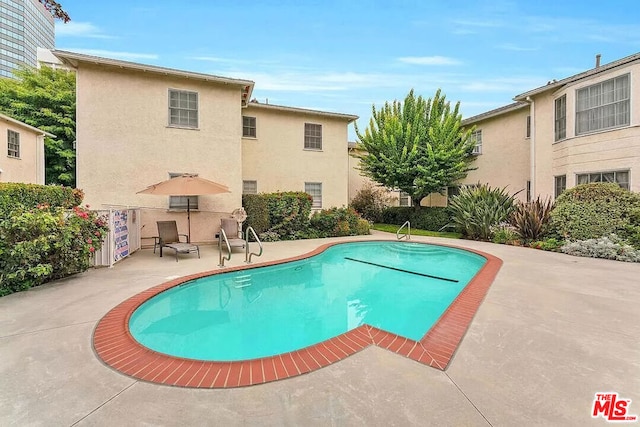 view of swimming pool featuring a patio