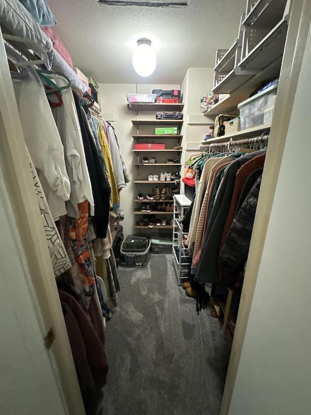 spacious closet with carpet flooring