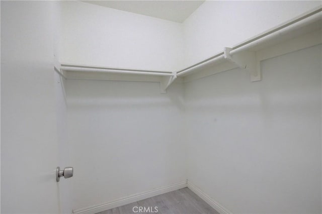 spacious closet featuring light wood-type flooring