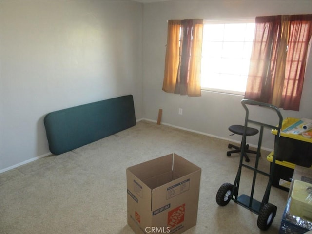 interior space with light colored carpet