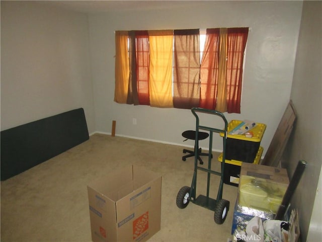 interior space with carpet floors