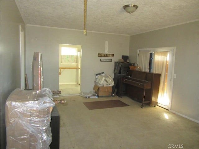 miscellaneous room with ornamental molding, a textured ceiling, and carpet flooring