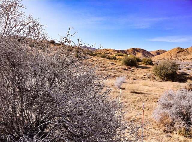 Listing photo 3 for 0 Tumbleweed Trl, Pioneertown CA 92268