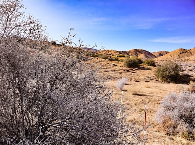 Listing photo 3 for 0 Tumbleweed Trl, Pioneertown CA 92268