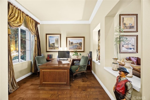 office space featuring ornamental molding and dark wood-type flooring