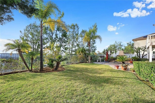 view of yard with a patio