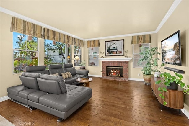 living room featuring a fireplace, ornamental molding, and dark hardwood / wood-style floors