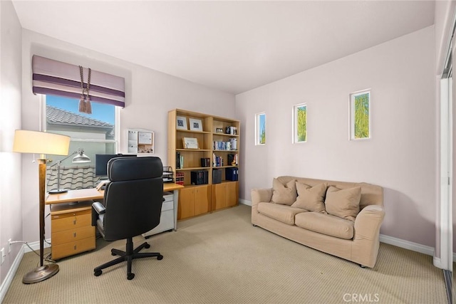 office featuring light colored carpet