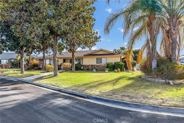 ranch-style house featuring a front lawn