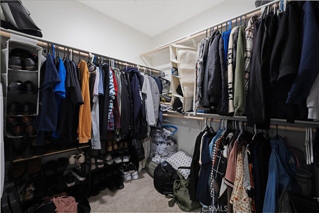 walk in closet with carpet flooring