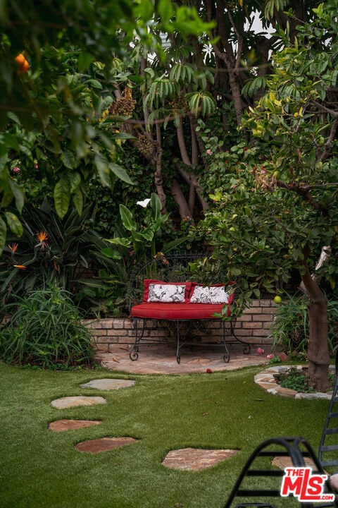 view of yard with a patio