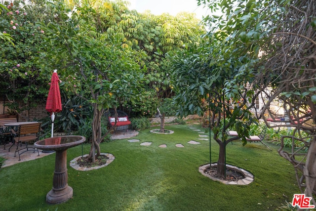 view of yard with a patio area