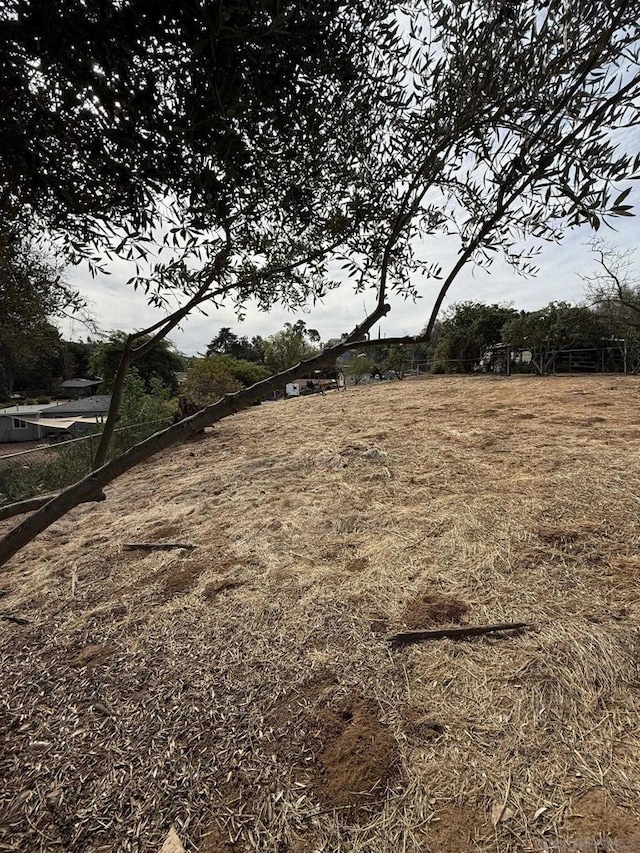 view of yard featuring a rural view