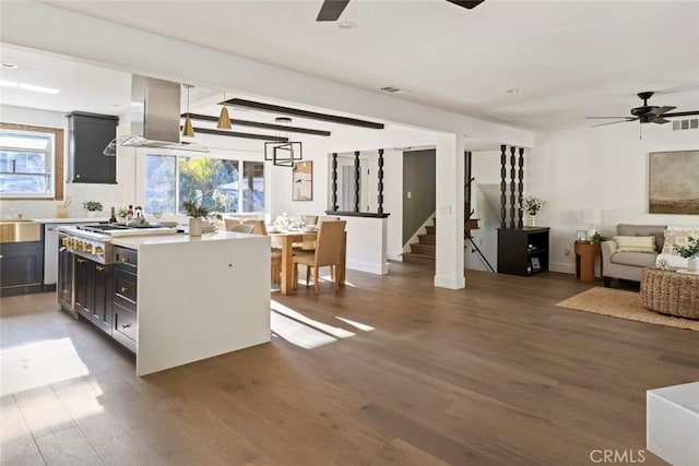 kitchen with ceiling fan, a center island, dark hardwood / wood-style flooring, and range hood