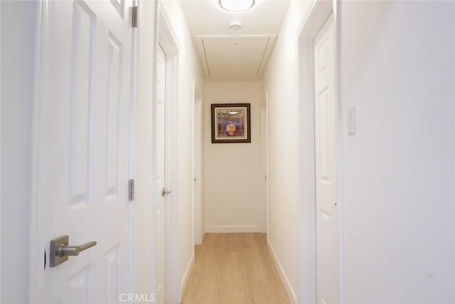 hall with light wood-type flooring