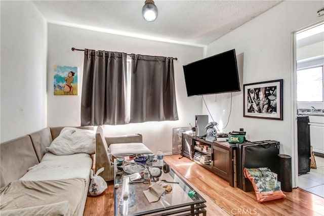 living room featuring light hardwood / wood-style flooring