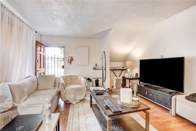 living room featuring hardwood / wood-style floors and a textured ceiling