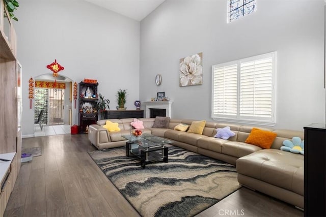 living room with wood-type flooring and high vaulted ceiling