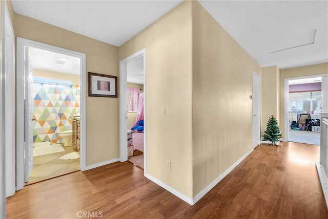 hall with light hardwood / wood-style flooring