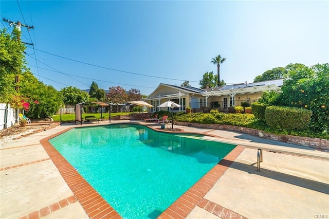 view of swimming pool featuring a pergola, a diving board, and a patio