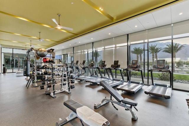 gym with expansive windows and ceiling fan