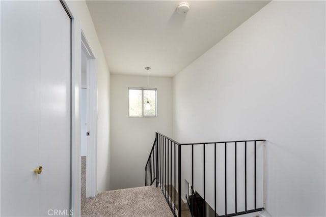 stairway with carpet