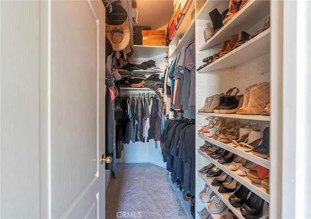 view of spacious closet