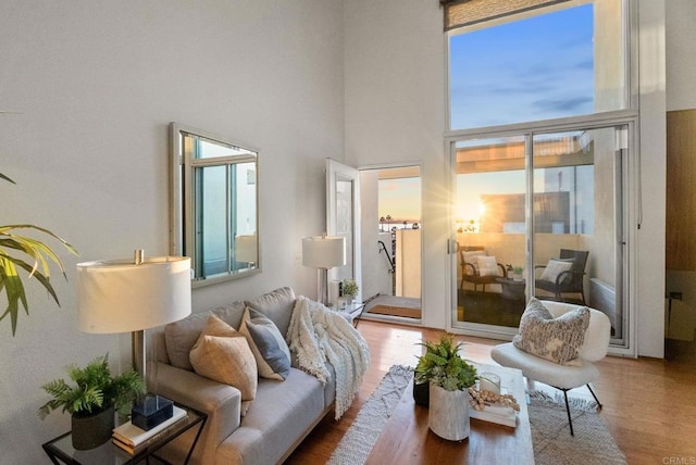 interior space with a high ceiling and hardwood / wood-style floors