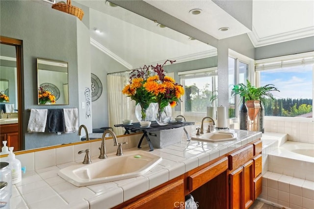 bathroom featuring ornamental molding, a wealth of natural light, and a sink