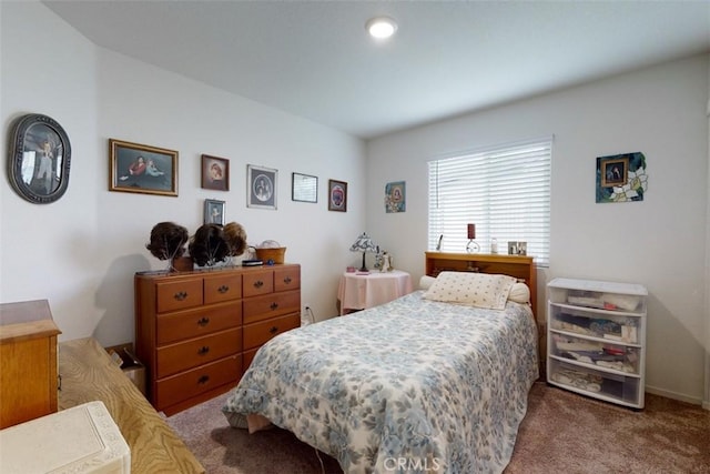 bedroom with carpet flooring