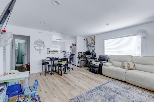 living room featuring light hardwood / wood-style flooring