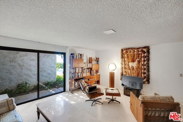 living room with a textured ceiling