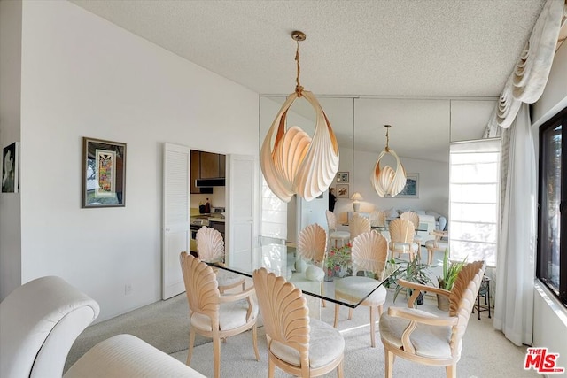 carpeted dining area featuring a textured ceiling