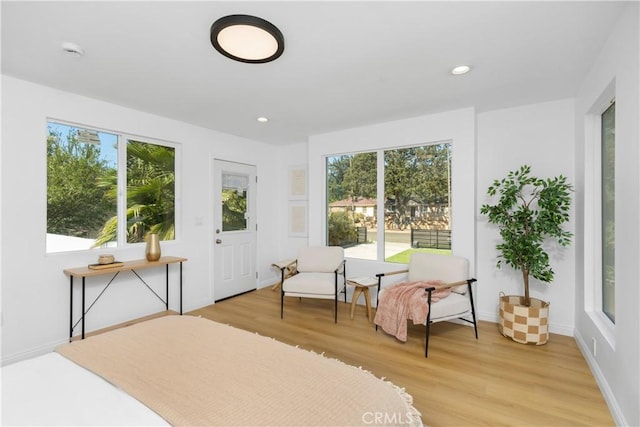 interior space featuring light hardwood / wood-style flooring