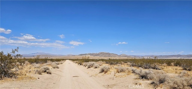 Listing photo 3 for 800 Firethorn Way, Johnson Valley CA 92285