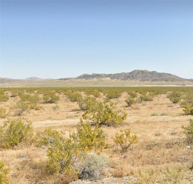 800 Firethorn Way, Johnson Valley CA, 92285 land for sale