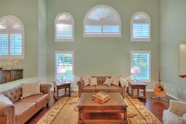 living room with a high ceiling, wood-type flooring, and a healthy amount of sunlight