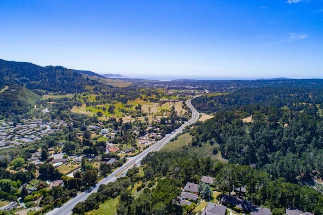 drone / aerial view featuring a mountain view