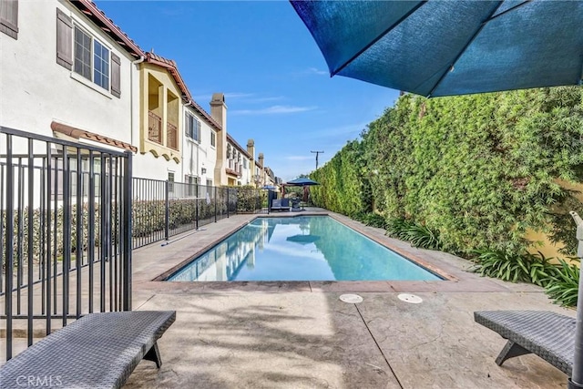 view of swimming pool with a patio area