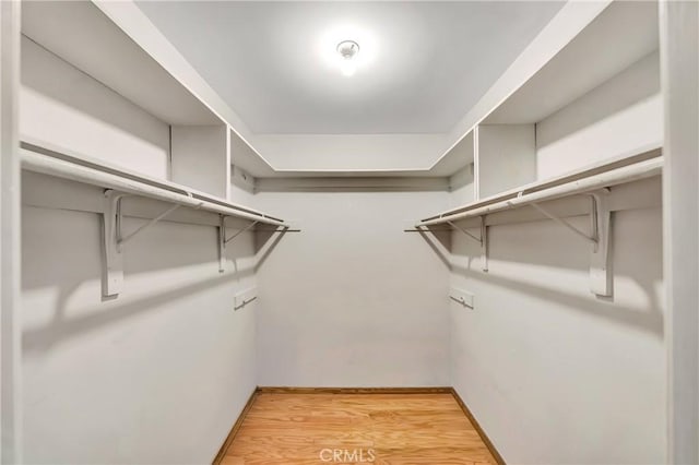 spacious closet featuring wood-type flooring