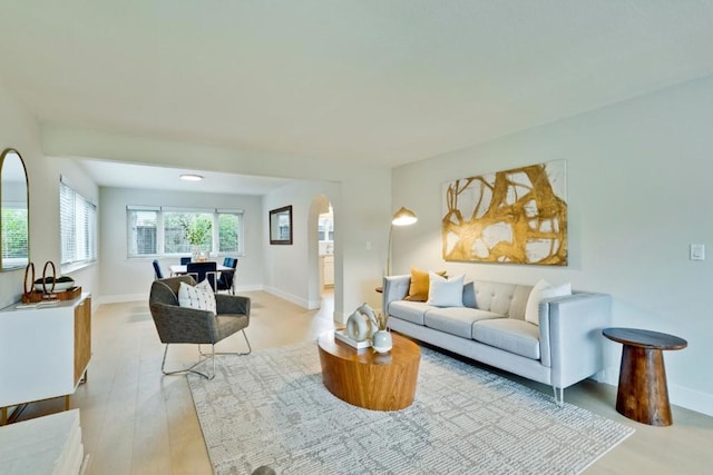 living room featuring light hardwood / wood-style floors