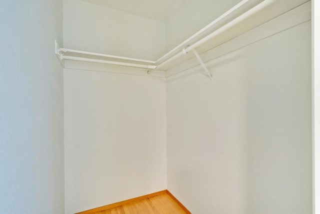 walk in closet with hardwood / wood-style flooring